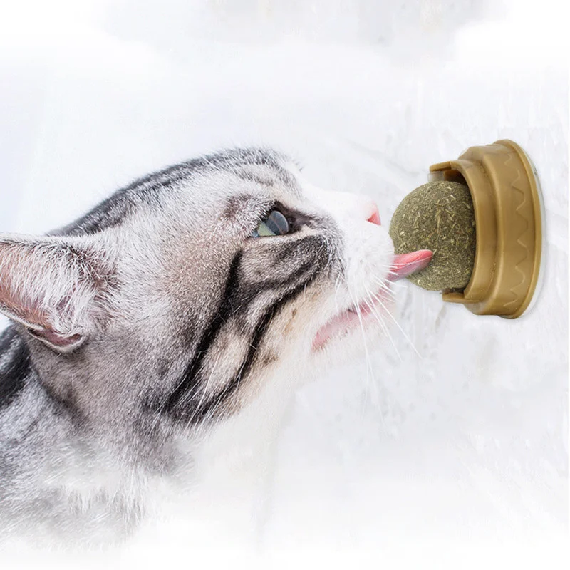 Cat Spinning Ball Healthy Snack Cat Catnip Wall Stick-on Ball Toy Cat Toys Interactive Toy Molar Cleaning Pet Supplies
Cat Spinning Ball Healthy Snack Cat Catnip Wall Stick-on Ball Toy Cat Toys Interactive Toy Molar Cleaning Pet Supplies