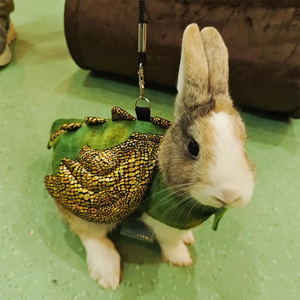 

Pet Dinosaur Costume Pet Costume with Traction Rope Adorable Costume Funny Dragon T-shirt Vest for Pet Lizards Adjustable