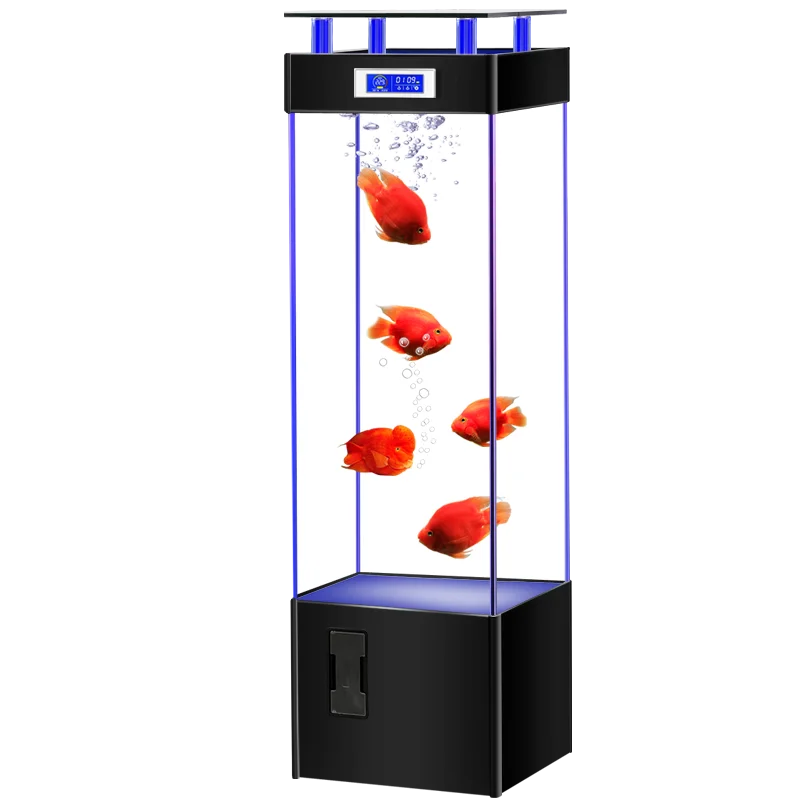 Qf Glass Fish Tank Change Water Ecological Aquarium Small and Medium-Sized Living Room Fish Tank 
Qf Glass Fish Tank Change Water Ecological Aquarium Small and Medium-Sized Living Room Fish Tank