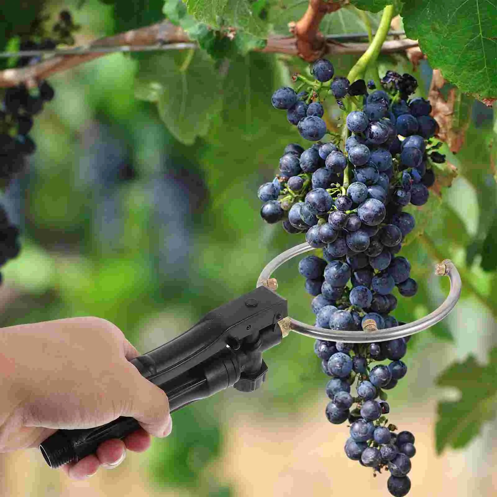 Fruits Tool Suit Grape Spray Farm Sprayer Kiwi Outdoor Garden Nozzle Plastic Spraying Patio Orchard Yard
Fruits Tool Suit Grape Spray Farm Sprayer Kiwi Outdoor Garden Nozzle Plastic Spraying Patio Orchard Yard