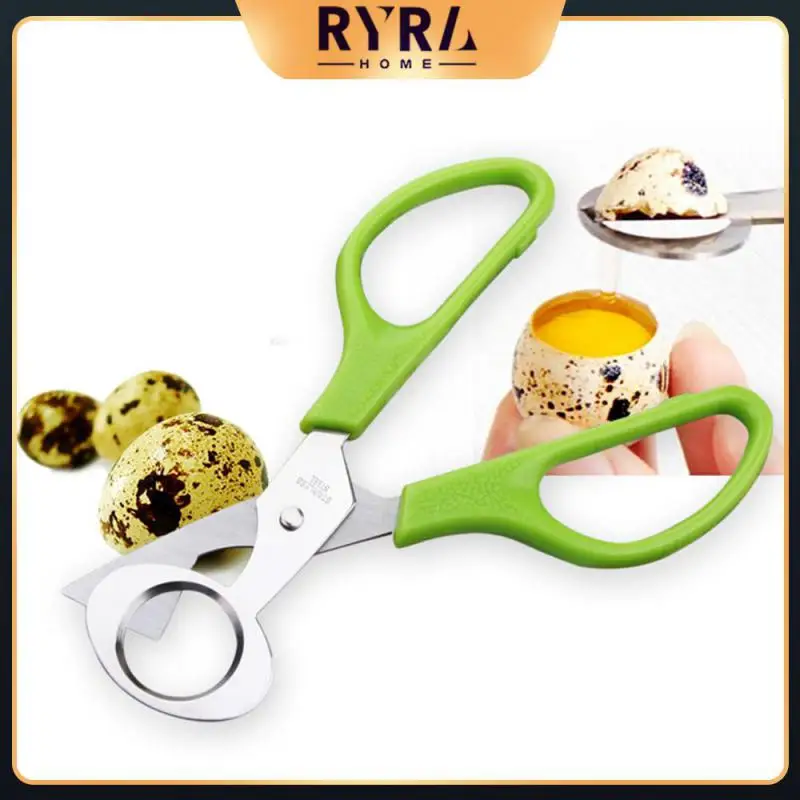 Durable Cutter Opener Egg Cutters Pigeon Quail Egg Scissor Bird Cutter Opener Stainless Steel Blade Bird Eggshell Separator
Durable Cutter Opener Egg Cutters Pigeon Quail Egg Scissor Bird Cutter Opener Stainless Steel Blade Bird Eggshell Separator
