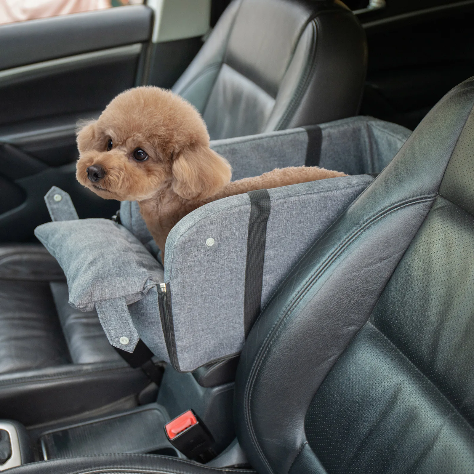 Outdoor Travel Dog Car Bed Puppy Keeping Kennel Safe Seat for Small Dogs Cat Kitten Center Console Mat Pet Accessories
Outdoor Travel Dog Car Bed Puppy Keeping Kennel Safe Seat for Small Dogs Cat Kitten Center Console Mat Pet Accessories
