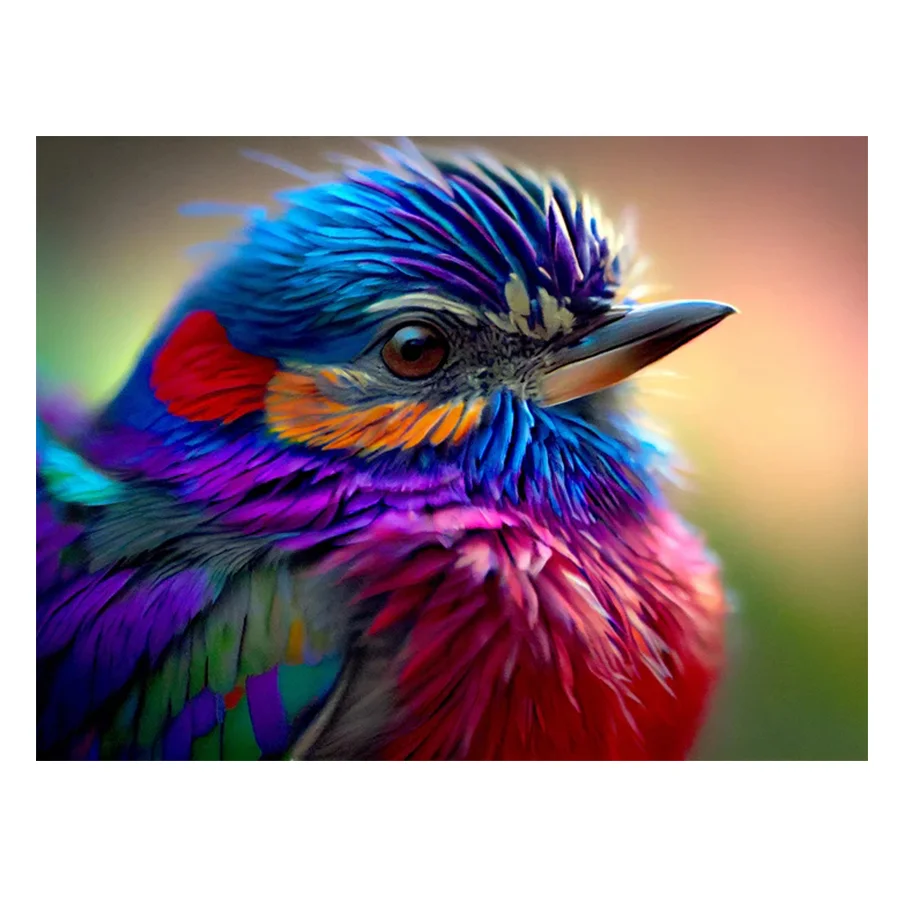 2023 5D DIY diamond painting novelty mosaic picture colorful bird home decoration full square/round masonry
2023 5D DIY diamond painting novelty mosaic picture colorful bird home decoration full square/round masonry