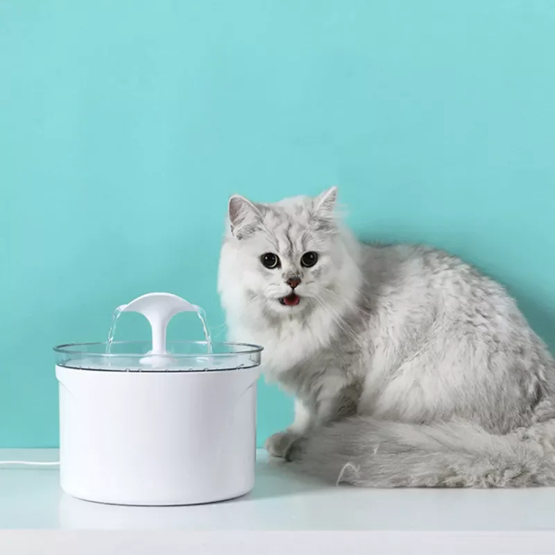 2023 Automatic Pet Cat Water Fountain Dog Drinking Water Circulating Carbon Filter Low Noise 2.5L Large Capacity Cat Water Dispe
2023 Automatic Pet Cat Water Fountain Dog Drinking Water Circulating Carbon Filter Low Noise 2.5L Large Capacity Cat Water Dispe