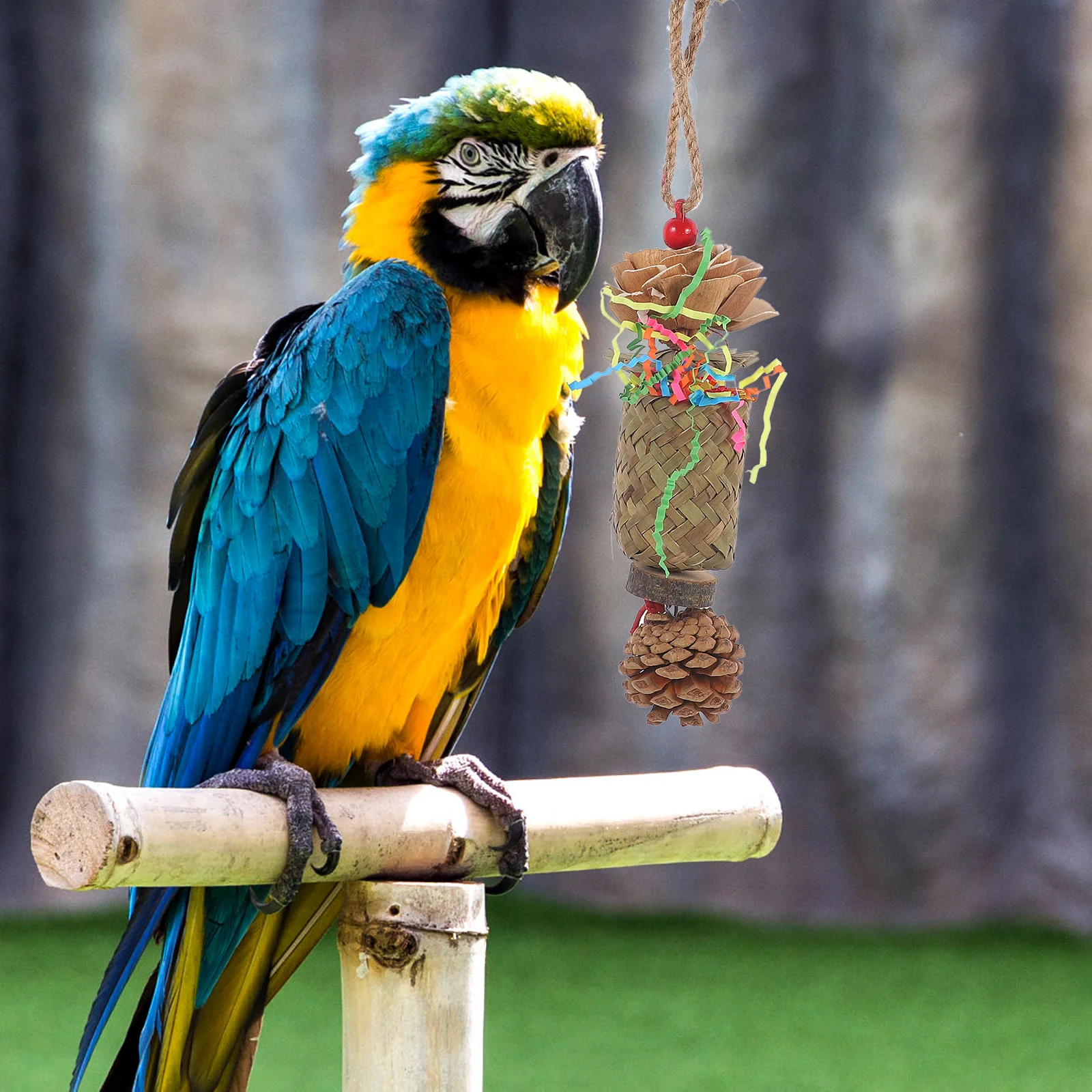 Parrot Chewing Plaything Pet Bird Hanging Toy Hanging Toy Parrot Toy Birdcage Accessory
Parrot Chewing Plaything Pet Bird Hanging Toy Hanging Toy Parrot Toy Birdcage Accessory