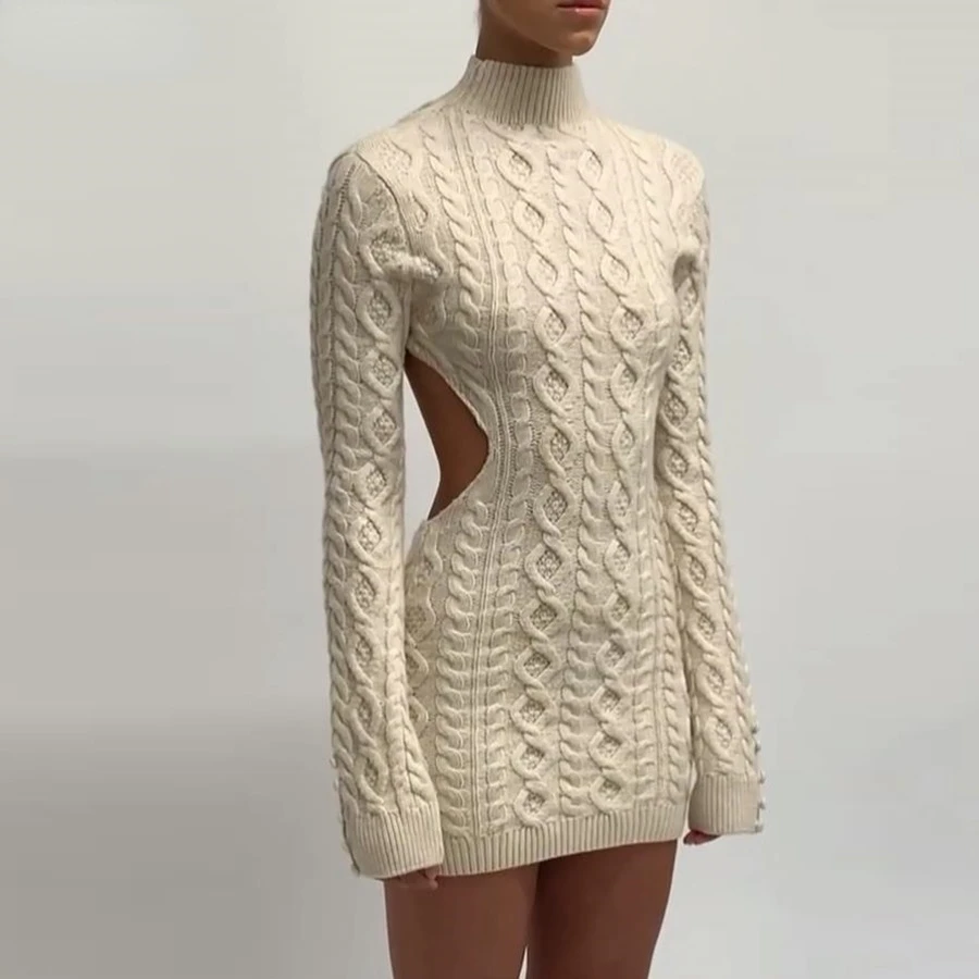 2022 Long sleeve turtleneck dress Spring new women warm street wear slim stretch mini dress
2022 Long sleeve turtleneck dress Spring new women warm street wear slim stretch mini dress