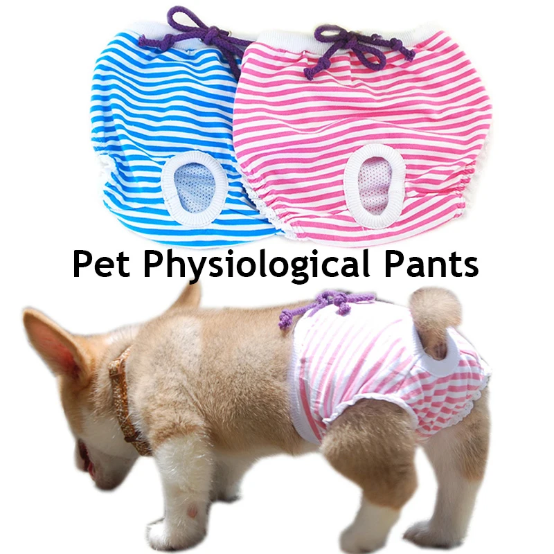 Pet Cotton Physiological Pant Dog Diaper Washable Female Dog Shorts Panties Clean Breathable Menstruation Underwear Briefs
Pet Cotton Physiological Pant Dog Diaper Washable Female Dog Shorts Panties Clean Breathable Menstruation Underwear Briefs