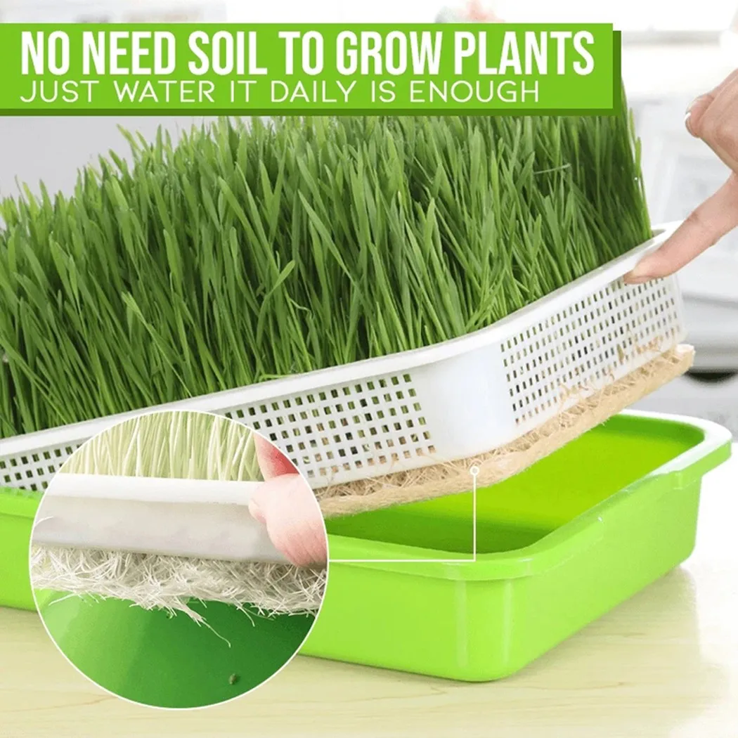 New Sprouting Tray Hydroponic / Sprouting Tray For Sprout Horticultural Hydroponic Systems Tray Nursery Potted Hydroponic Parts
New Sprouting Tray Hydroponic / Sprouting Tray For Sprout Horticultural Hydroponic Systems Tray Nursery Potted Hydroponic Parts