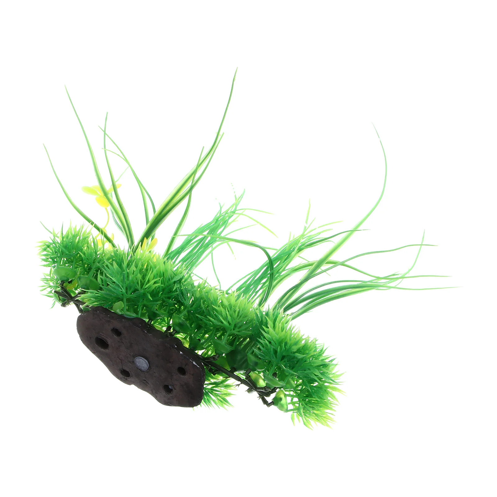 Plants Artificialtank Fake Decorations Wateraquarium Accessories Aquatic Wall Hanging Reptile Dragon Bearded Decor Room
Plants Artificialtank Fake Decorations Wateraquarium Accessories Aquatic Wall Hanging Reptile Dragon Bearded Decor Room