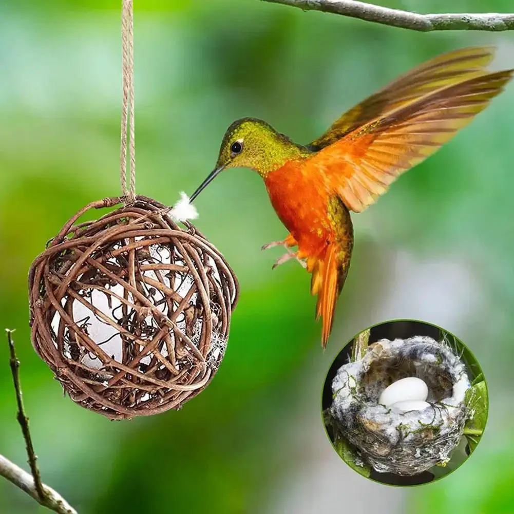 1pcs Bird Feeder Bird Food Fruit Basket Tit Wild Bird Feeder Decor Food Distributor Outdoor Yard Rack Feeder Tit W0Z3
1pcs Bird Feeder Bird Food Fruit Basket Tit Wild Bird Feeder Decor Food Distributor Outdoor Yard Rack Feeder Tit W0Z3