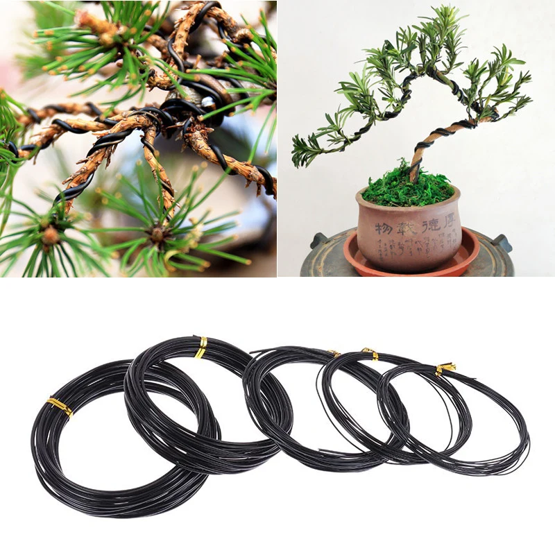 Total 5m (Black) Bonsai Wire Anodized Aluminum Bonsai Training Wire, 5 Sizes (1.0mm, 1.5mm, 2.0mm, 2.5mm, 3mm) For Plant Shapes
Total 5m (Black) Bonsai Wire Anodized Aluminum Bonsai Training Wire, 5 Sizes (1.0mm, 1.5mm, 2.0mm, 2.5mm, 3mm) For Plant Shapes