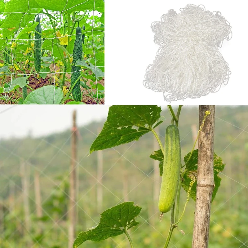 4.5/5m Vegetables Plants Trellis Net Anti Bird Garden Netting Heavy-Duty Polyester Support Vine Climbing Garden Netting Mesh
4.5/5m Vegetables Plants Trellis Net Anti Bird Garden Netting Heavy-Duty Polyester Support Vine Climbing Garden Netting Mesh