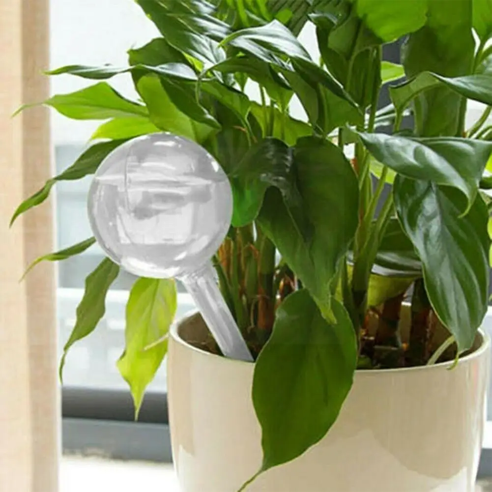 Plant Watering Bulbs Automatic Self-watering Globes Pvc Balls Garden Water Device Watering Bulbs For Plant G4v0
Plant Watering Bulbs Automatic Self-watering Globes Pvc Balls Garden Water Device Watering Bulbs For Plant G4v0