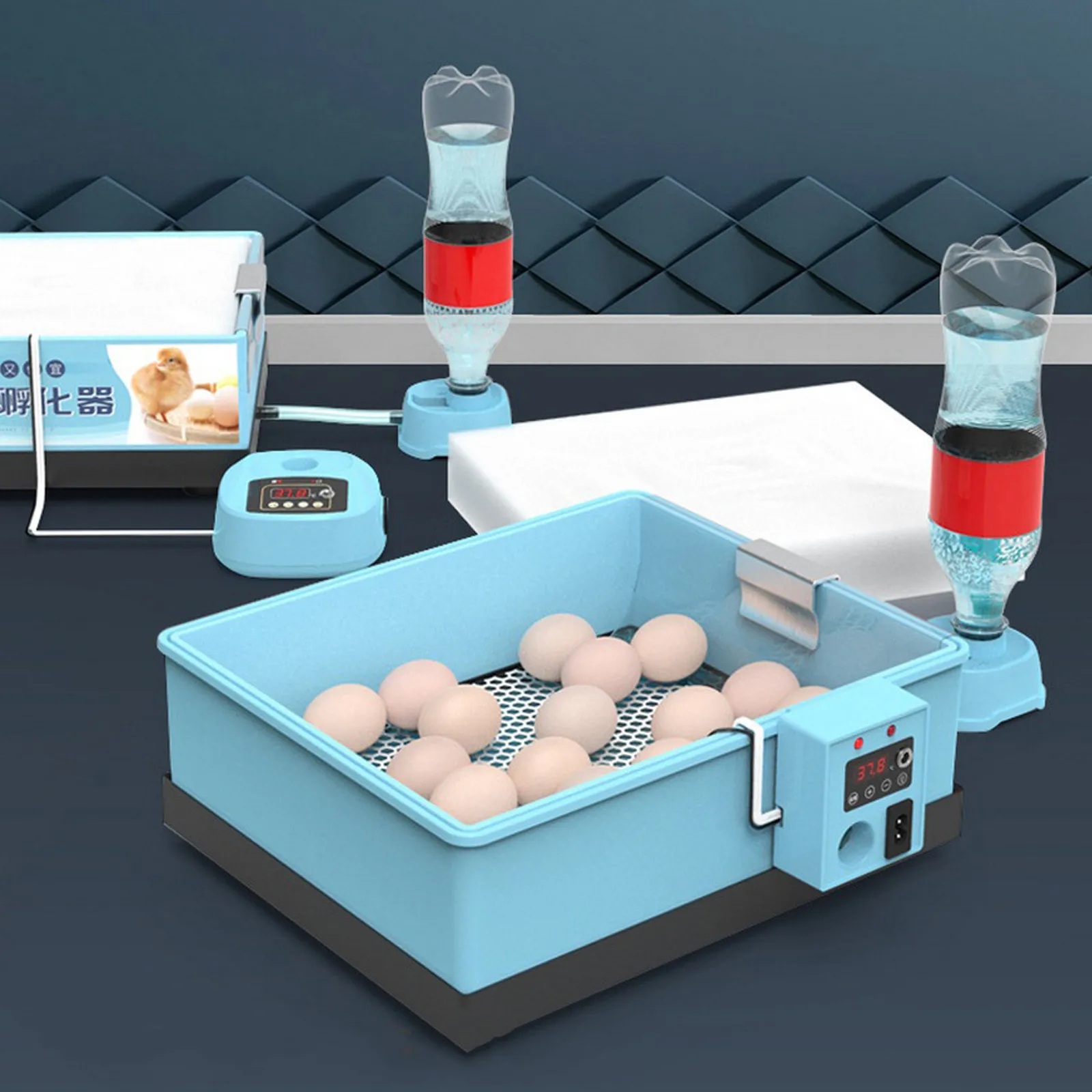 Eggs Incubator Brooder Chicken Fully Automatic Farm Bird Quail Incubator Hatchery 20-66 Eggs Incubator Poultry Hatcher
Eggs Incubator Brooder Chicken Fully Automatic Farm Bird Quail Incubator Hatchery 20-66 Eggs Incubator Poultry Hatcher