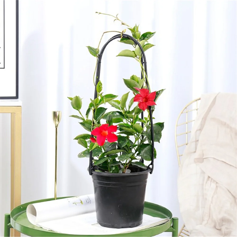 6PCS Climbing Vine Rack Plant Potted Support Frame Plastic Flower Vegetables Decorative Trellis Bracket Garden Tool
6PCS Climbing Vine Rack Plant Potted Support Frame Plastic Flower Vegetables Decorative Trellis Bracket Garden Tool