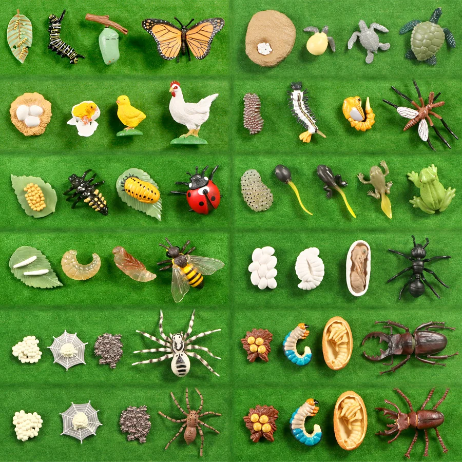 Butterfly Frog Bee Spider Chicken Duck Goose Fish Vinyl Model Simulation Insect Figure Set
Butterfly Frog Bee Spider Chicken Duck Goose Fish Vinyl Model Simulation Insect Figure Set
