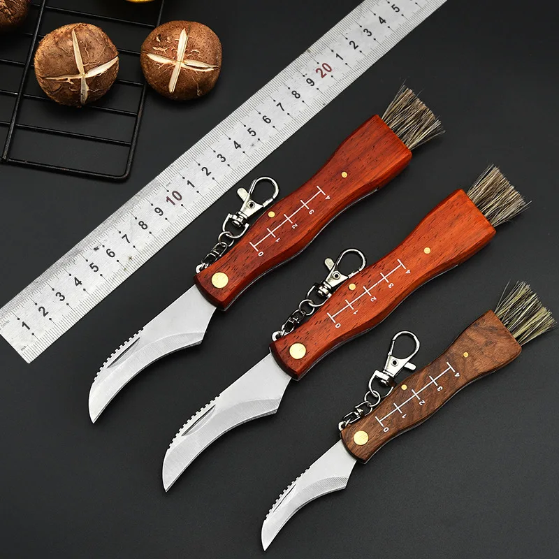 New 3CR13mov Stainles Steel Pear Blossom Wood Mushroom Knife Foldable Outdoor Camping Barbecue Portable Knife Sharp Fruit Peeler
New 3CR13mov Stainles Steel Pear Blossom Wood Mushroom Knife Foldable Outdoor Camping Barbecue Portable Knife Sharp Fruit Peeler