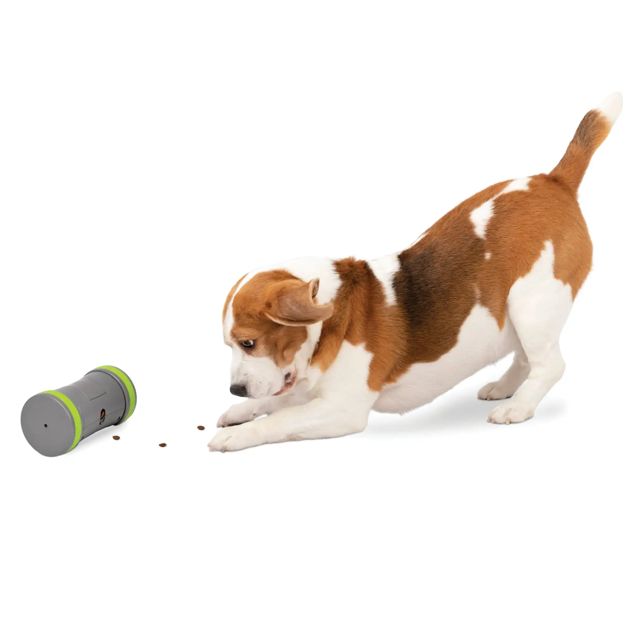 Chase Interactive Dog Toy, Slow Feeder, Electronic Treat Dispenser Training Toys Pet Accessories
Chase Interactive Dog Toy, Slow Feeder, Electronic Treat Dispenser Training Toys Pet Accessories