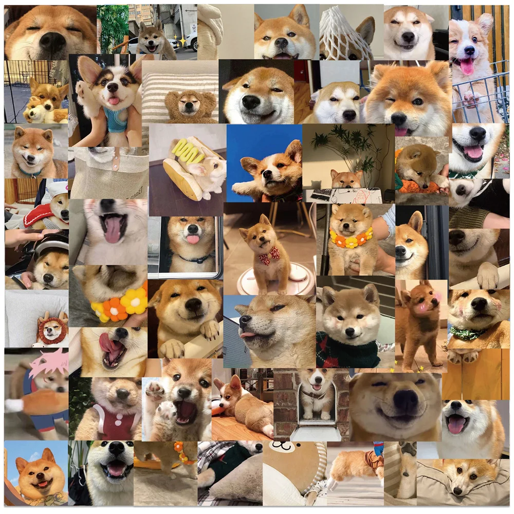 10/30/55pcs Cute Animal Dog Corgi Cartoon Stickers Decoration Scrapbook Laptop Luggage Phone Bike Car Waterproof Sticker Kid Toy
10/30/55pcs Cute Animal Dog Corgi Cartoon Stickers Decoration Scrapbook Laptop Luggage Phone Bike Car Waterproof Sticker Kid Toy