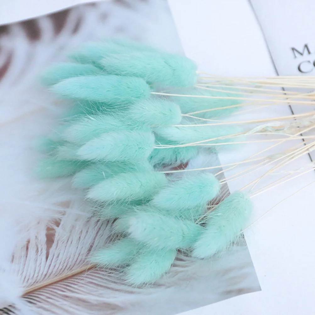 Dried Pampas Flowers Tail Bunny Rabbit Natural Flower Tails Bouquet Decor Wedding Ovatus Dry Lagurus Pompous Stems Vase Fake
Dried Pampas Flowers Tail Bunny Rabbit Natural Flower Tails Bouquet Decor Wedding Ovatus Dry Lagurus Pompous Stems Vase Fake