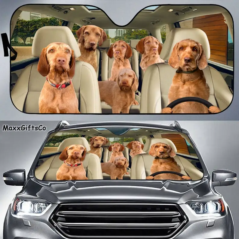 Wirehaired Vizsla Car Sun Shade, Wirehaired Vizsla Windshield, Family Dogs Auto Sunshade, Dogs Car Accessories, Irish Terrier Lo
Wirehaired Vizsla Car Sun Shade, Wirehaired Vizsla Windshield, Family Dogs Auto Sunshade, Dogs Car Accessories, Irish Terrier Lo