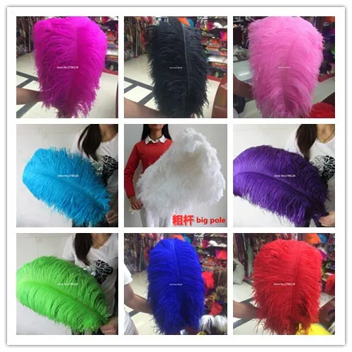 Wholesale natural ostrich feather hard pole 10pcs / ostrich feathers 65-70 cm / 26-28 "wedding birthday Christmas decor DIY
Wholesale natural ostrich feather hard pole 10pcs / ostrich feathers 65-70 cm / 26-28 "wedding birthday Christmas decor DIY