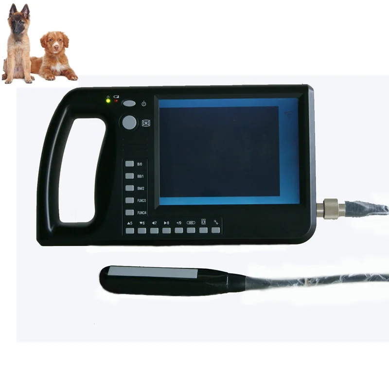 Portable ultrasound machine for animals vet ultrasound screen for promotion on stock
Portable ultrasound machine for animals vet ultrasound screen for promotion on stock