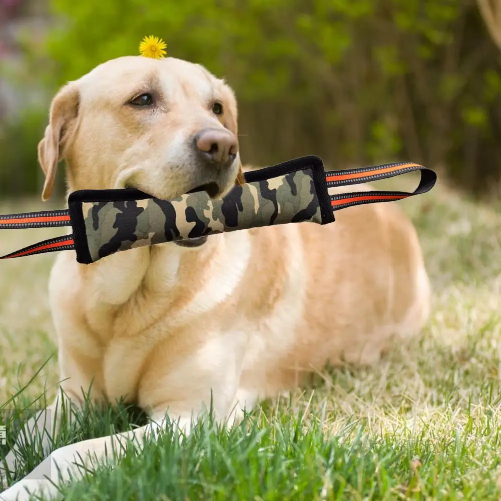 Soft Pet Training Tug Molar Toy Dog Tug Toy with 2 Rope Handles Dog Biting Pillow Tug Stick Professional
Soft Pet Training Tug Molar Toy Dog Tug Toy with 2 Rope Handles Dog Biting Pillow Tug Stick Professional