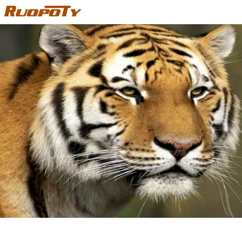 RUOPOTY 5d DIY Full Square Diamond Painting Tiger Diamond Embroidery Cross Stitch Mosaic Animals Pictures Frame decor
RUOPOTY 5d DIY Full Square Diamond Painting Tiger Diamond Embroidery Cross Stitch Mosaic Animals Pictures Frame decor