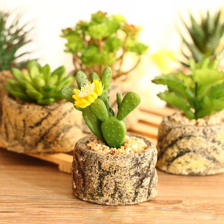 Ins Fake Succulent Mini Nordic Simulation Flower Green Plant Decoration Small Potted Cactus Bonsai Decoration Creative
Ins Fake Succulent Mini Nordic Simulation Flower Green Plant Decoration Small Potted Cactus Bonsai Decoration Creative