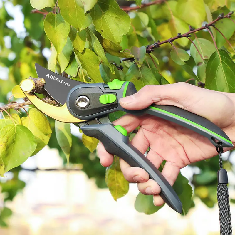 Pruning Scissors Grafting Tool Gardener Scissor Garden Scissors Secateurs Fruit Tree Branch Cutting Shears Picking Tool
Pruning Scissors Grafting Tool Gardener Scissor Garden Scissors Secateurs Fruit Tree Branch Cutting Shears Picking Tool