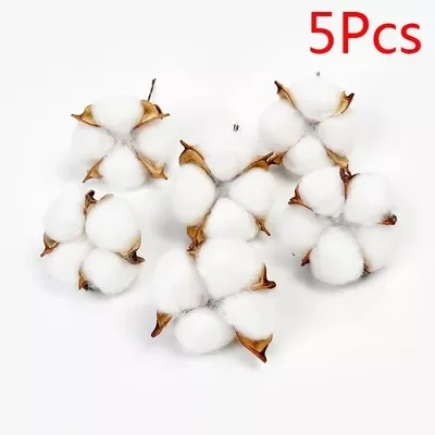 Naturally Dried Cotton Flowers Artificial Plants Floral Branch For Diy Wedding Party Decoration Home Cotton Garland Decor
Naturally Dried Cotton Flowers Artificial Plants Floral Branch For Diy Wedding Party Decoration Home Cotton Garland Decor