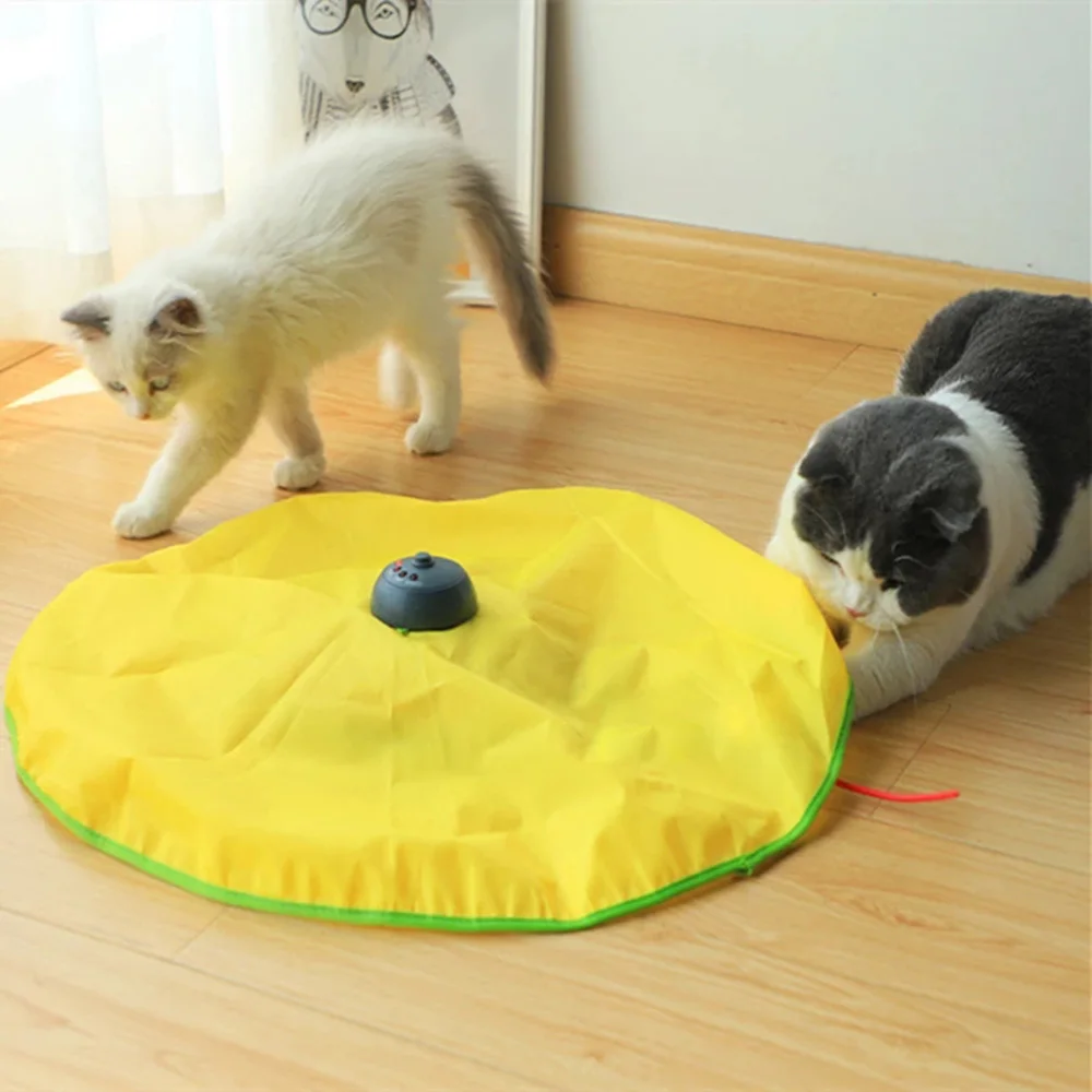 Умные электрические смешные игрушки для кошек MOONBIFFY, 4 скорости, поворотный круг для кошек, мышь, ткань, движущиеся перья, Интерактивная игрушка для домашних животных
Умные электрические смешные игрушки для кошек MOONBIFFY, 4 скорости, поворотный круг для кошек, мышь, ткань, движущиеся перья, Интерактивная игрушка для домашних животных
