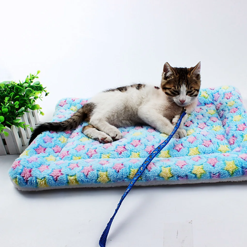 Plush Star Blanket Pets Bed Pad Coral Velvet Puppy Sleeping Mat Summer Doghouse Warm Cushion
Plush Star Blanket Pets Bed Pad Coral Velvet Puppy Sleeping Mat Summer Doghouse Warm Cushion