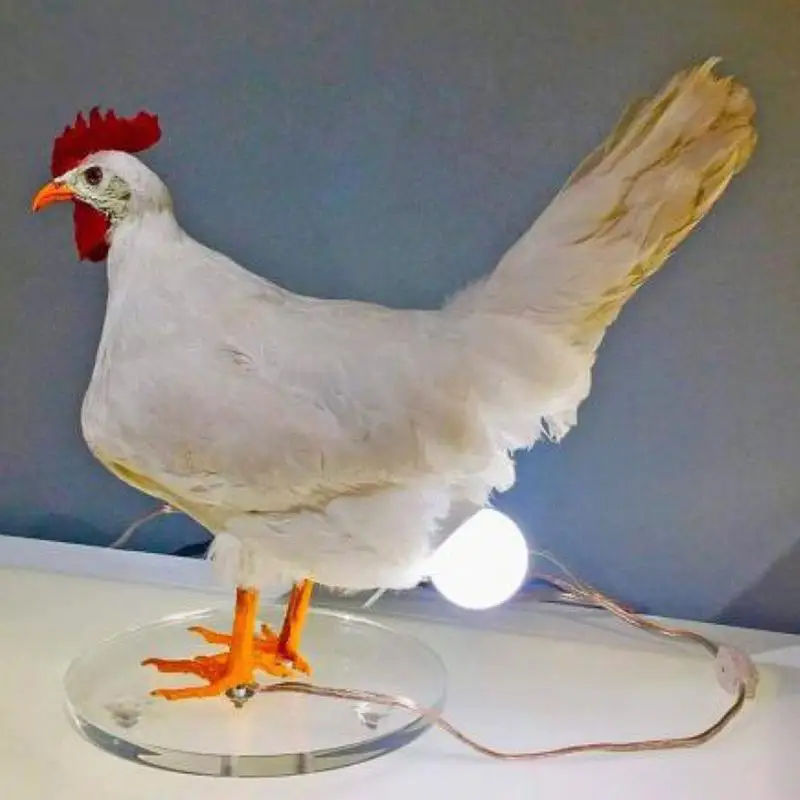 Настольная необычная лампа Taxidermy с рисунком курицы, украшения для спальни, гостиной, искусственные ночники, предметы интерьера
Настольная необычная лампа Taxidermy с рисунком курицы, украшения для спальни, гостиной, искусственные ночники, предметы интерьера