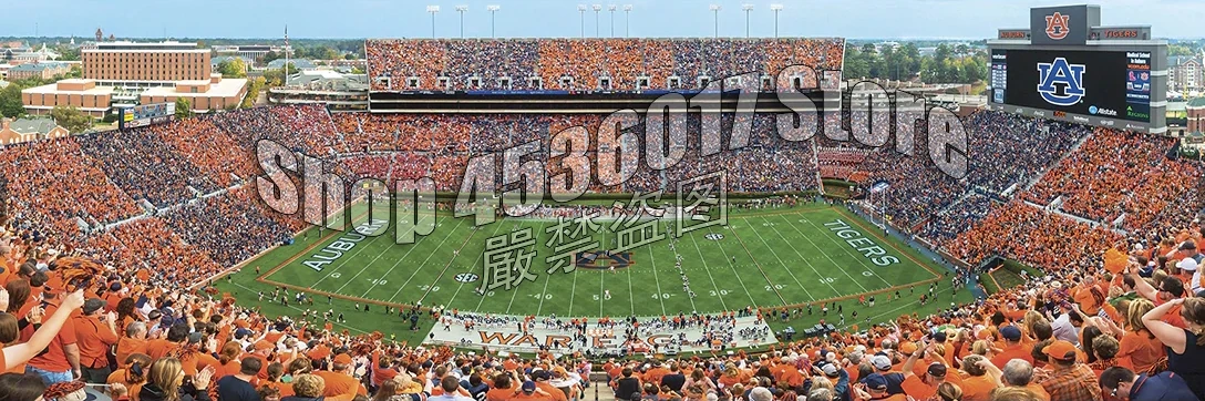 5D DIY Diamond painting Jordan-Hare Stadium Full square Diamond embroidery Cross Stitch University Rhinestone Mosaic gifts
5D DIY Diamond painting Jordan-Hare Stadium Full square Diamond embroidery Cross Stitch University Rhinestone Mosaic gifts