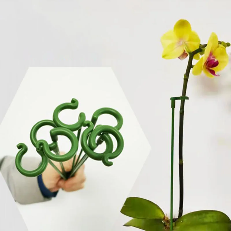 Plastic Plant Supports Flower Stand Reusable Protection Fixing Tool Gardening Supplies For Vegetable Holder Bracket
Plastic Plant Supports Flower Stand Reusable Protection Fixing Tool Gardening Supplies For Vegetable Holder Bracket
