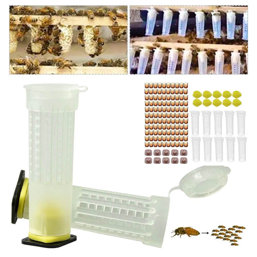 1 Set Beekeeping Rearing Cup Kit Plastic Queen Bee Cell Cups Roller Cages Boxes Apiculture Beekeeping Tools Supplies
1 Set Beekeeping Rearing Cup Kit Plastic Queen Bee Cell Cups Roller Cages Boxes Apiculture Beekeeping Tools Supplies
