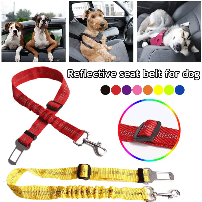 Dog Retractable Seat Belt Shock Absorbing Multi-colored Adjustable High Elastic Safe Pet Car Seat Belt Dog Leash Pet Supplies
Dog Retractable Seat Belt Shock Absorbing Multi-colored Adjustable High Elastic Safe Pet Car Seat Belt Dog Leash Pet Supplies