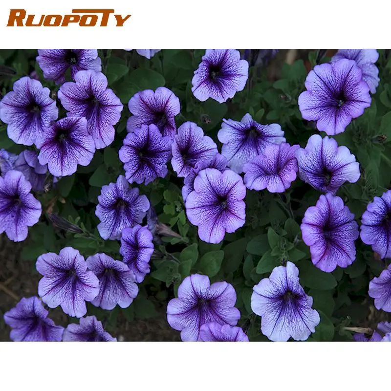 RUOPOTY 5D DIY Diamond Painting purple flower Handmade Gifts Diamond Embroidery Cross Stitch scenery Home Decorations
RUOPOTY 5D DIY Diamond Painting purple flower Handmade Gifts Diamond Embroidery Cross Stitch scenery Home Decorations