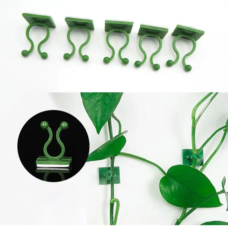 50pcs Plant flower Climbing Wall Self-Adhesive Fixed Buckle Hook holder Fastener Tied Fixture Vine Buckle Garden accessories
50pcs Plant flower Climbing Wall Self-Adhesive Fixed Buckle Hook holder Fastener Tied Fixture Vine Buckle Garden accessories