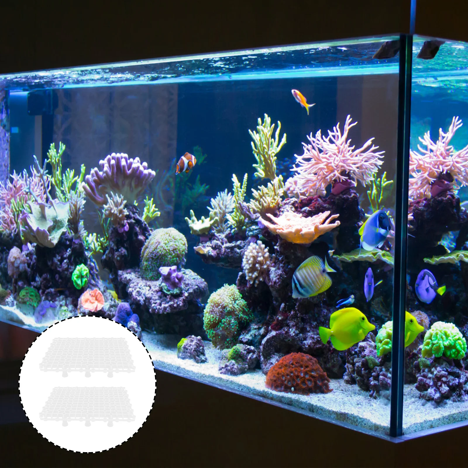 Tank Aquariumdivider Board Isolation Grid Filter Tray Bottomplate Gravel Filtration Isolate Segregationunder System Sand
Tank Aquariumdivider Board Isolation Grid Filter Tray Bottomplate Gravel Filtration Isolate Segregationunder System Sand