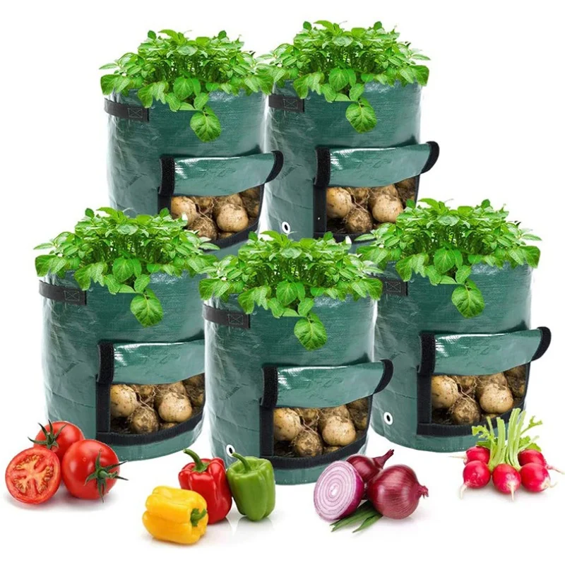 1/3/5/7/10 Gallons Potato Planting Bags PE Vegetable Garden Potato Fabric Pot Plant Grow Bags Growth Bags Farm Garden Tool
1/3/5/7/10 Gallons Potato Planting Bags PE Vegetable Garden Potato Fabric Pot Plant Grow Bags Growth Bags Farm Garden Tool