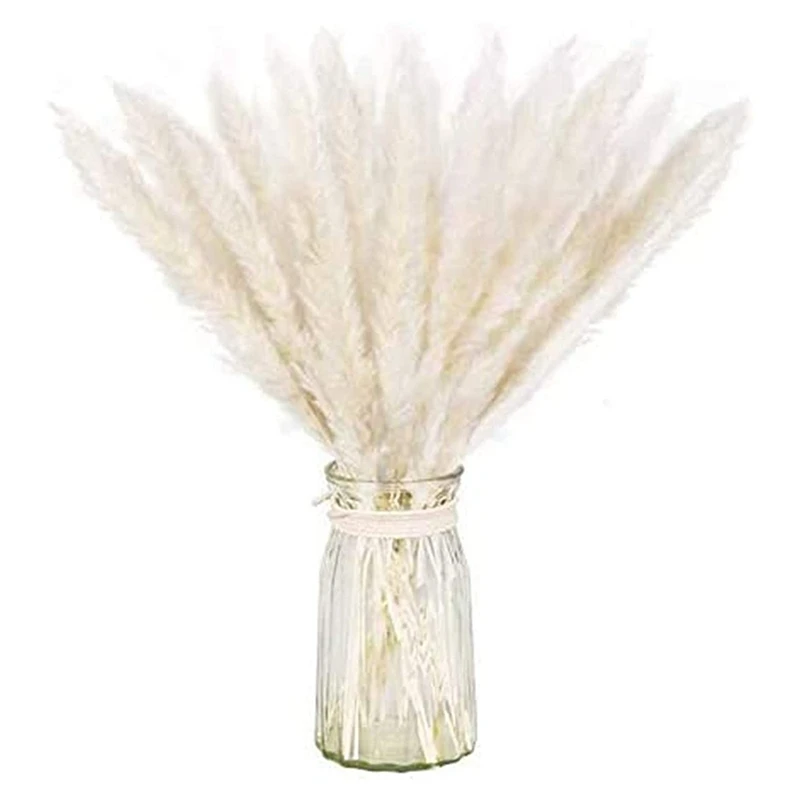 Dry Pampas Grass Natural Dried Bundle For Home Decor 20Pcs(White) 
Dry Pampas Grass Natural Dried Bundle For Home Decor 20Pcs(White)