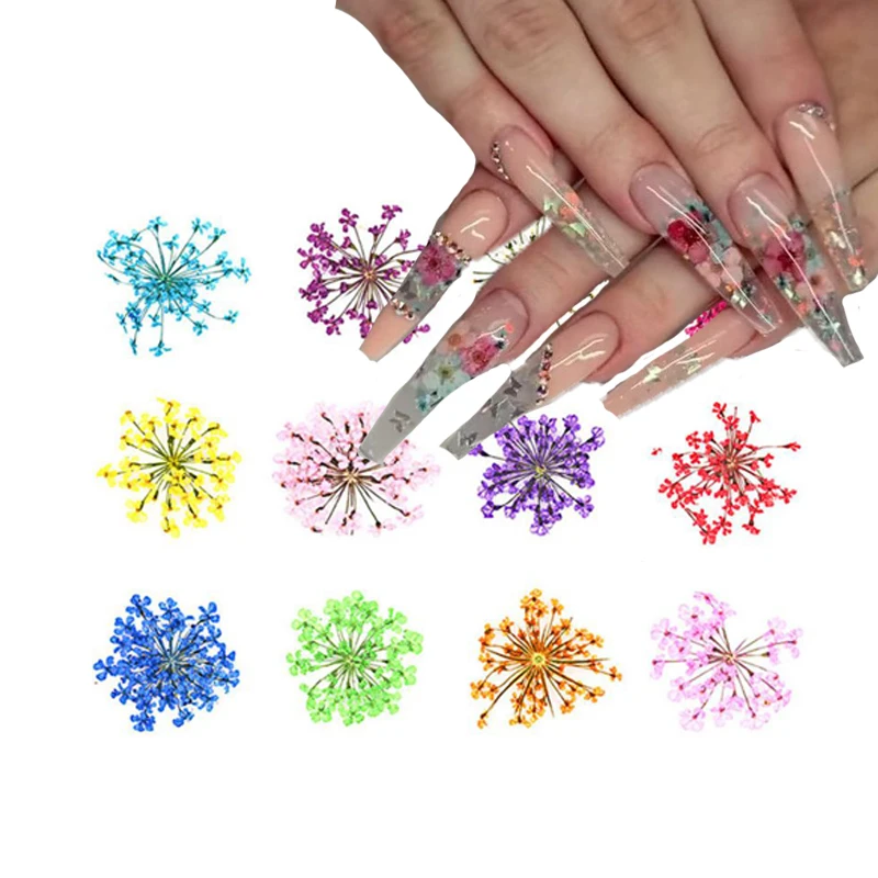 Dried Flowers Nail Decoration Natural Dry Floral Wild Flower Daisy 3D Nail Art Rhinestone Dried FLOWER Manicure Accessories 1BOX
Dried Flowers Nail Decoration Natural Dry Floral Wild Flower Daisy 3D Nail Art Rhinestone Dried FLOWER Manicure Accessories 1BOX