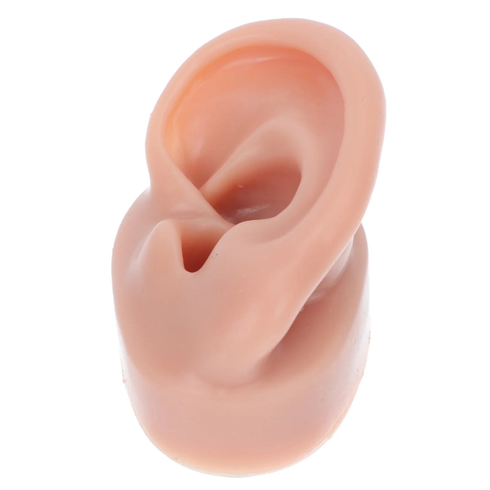 Ear Modelsilicone Tool Human Practice Flexible Artificial Display Body Suture Fake Pierce Soft Propsmold Displays Part
Ear Modelsilicone Tool Human Practice Flexible Artificial Display Body Suture Fake Pierce Soft Propsmold Displays Part