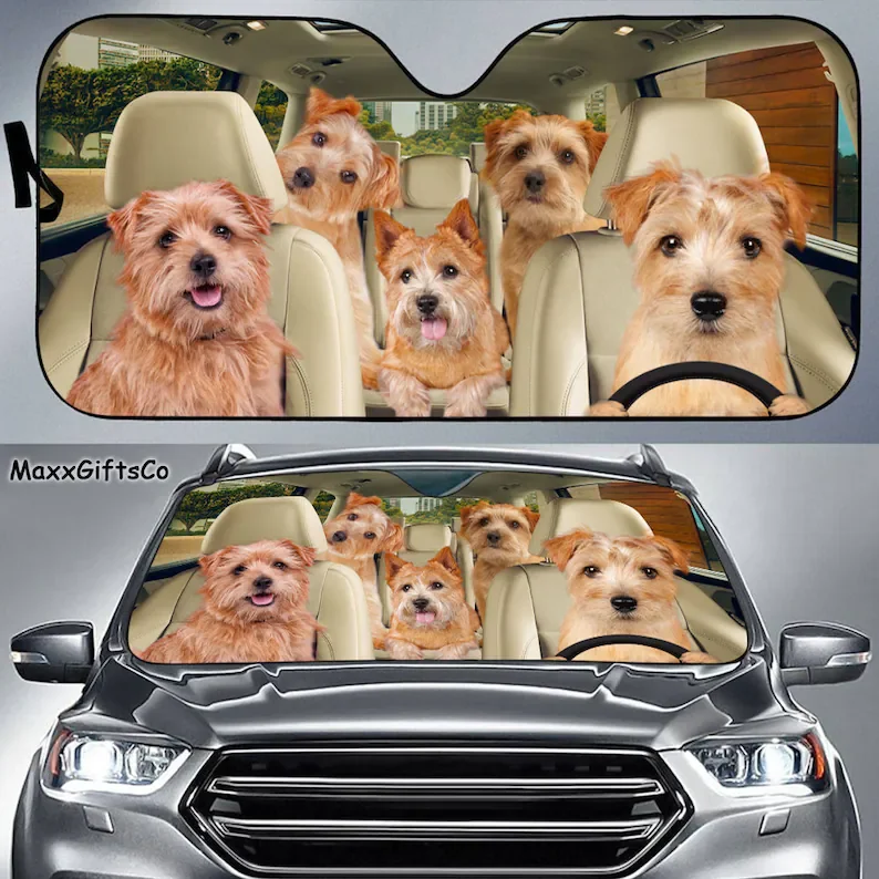 Norwich Terrier Car Sun Shade, Dogs Windshield, Dogs Family Sunshade, Dog Car Accessories, Car Decoration, Gift For Dad, Mom
Norwich Terrier Car Sun Shade, Dogs Windshield, Dogs Family Sunshade, Dog Car Accessories, Car Decoration, Gift For Dad, Mom