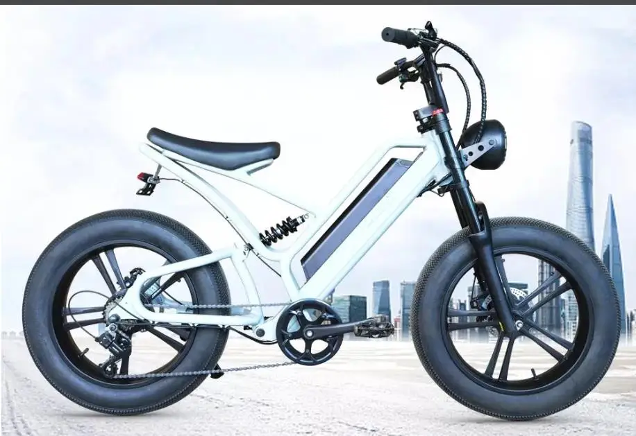 Kalosse 48V 750W Alloy 20*4.0 Electric Beach Bike Electrical Snow Bike Fat Bicycle
Kalosse 48V 750W Alloy 20*4.0 Electric Beach Bike Electrical Snow Bike Fat Bicycle