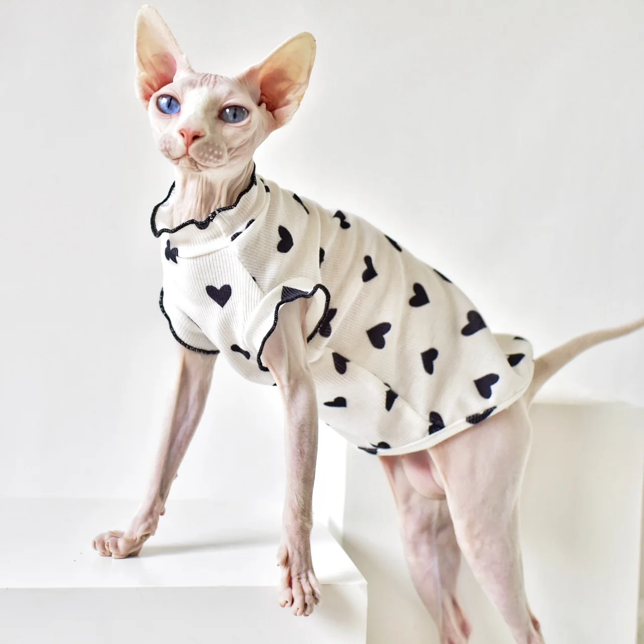 Pure Desire Wind Cat Clothes Summer Thin Sleeveless Vest Sphinx Hairless Cat Clothing Devon Clothes Pet Costume For Animals
Pure Desire Wind Cat Clothes Summer Thin Sleeveless Vest Sphinx Hairless Cat Clothing Devon Clothes Pet Costume For Animals