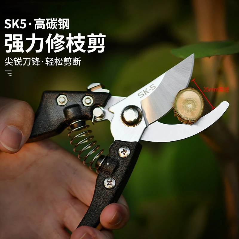 Секаторы для растений, садовые секаторы, секаторы, кусачки, омертвевшие ветви, садовые ножницы, инструменты для обрезки сада
Секаторы для растений, садовые секаторы, секаторы, кусачки, омертвевшие ветви, садовые ножницы, инструменты для обрезки сада